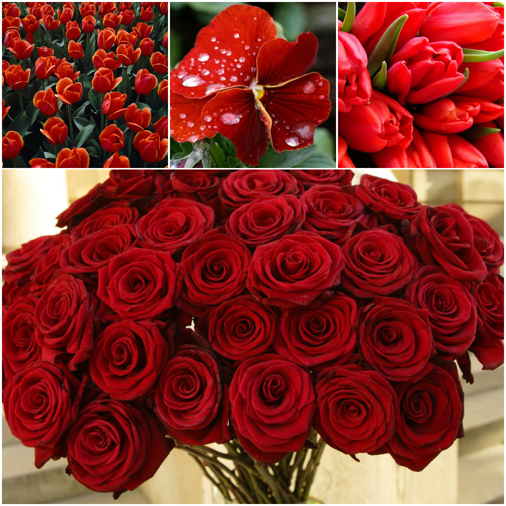 Цветовая гамма букета