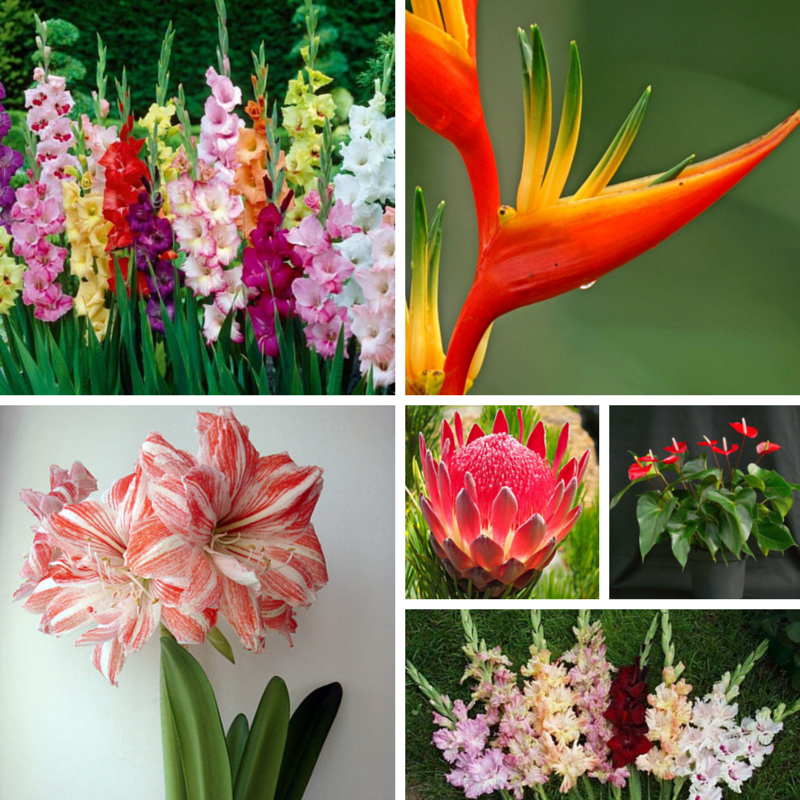Arrangement for a man