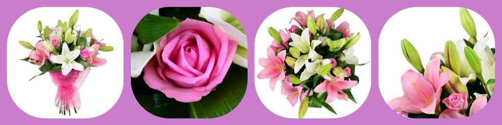 Цветы для учителя: какие выбрать?