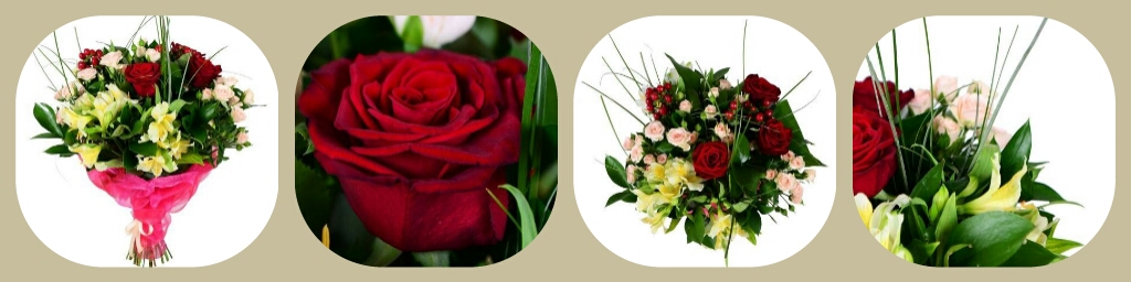 Цветы для учителя: какие выбрать?