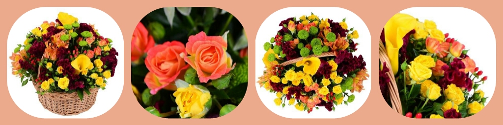 Цветы для учителя: какие выбрать?