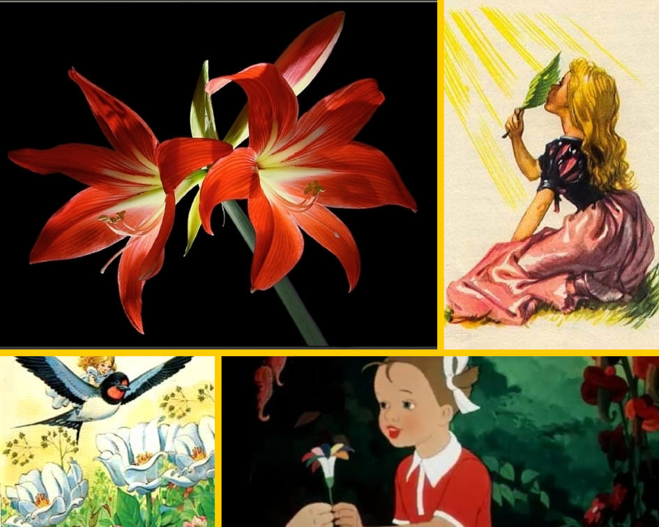 Цветы и гадания