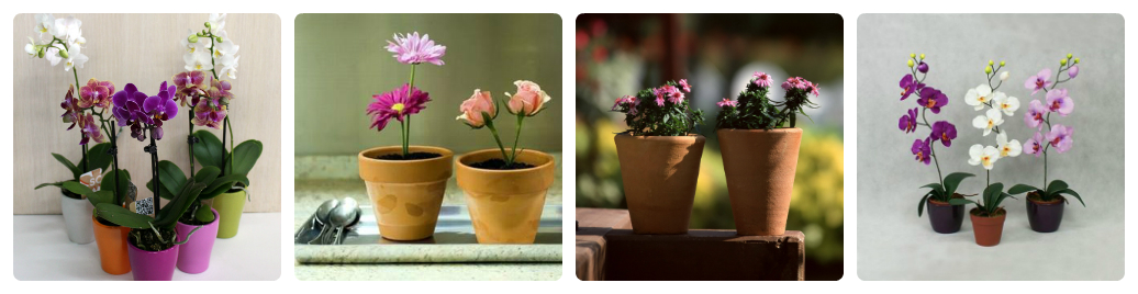 Какие цветы нужно дарить на первом свидании