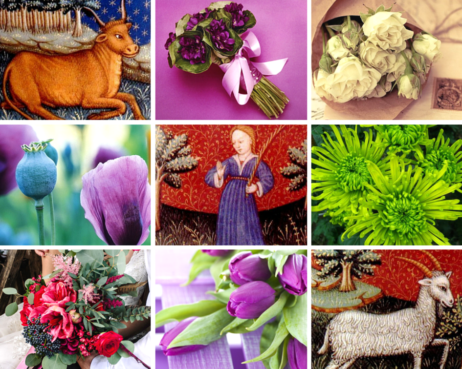 Цветы по знаку Зодиака (Часть 2)