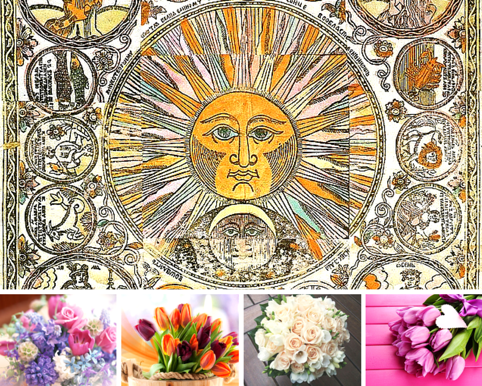 Цветы по знаку Зодиака (Часть 2)