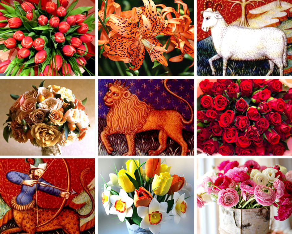 Цветы по знаку Зодиака