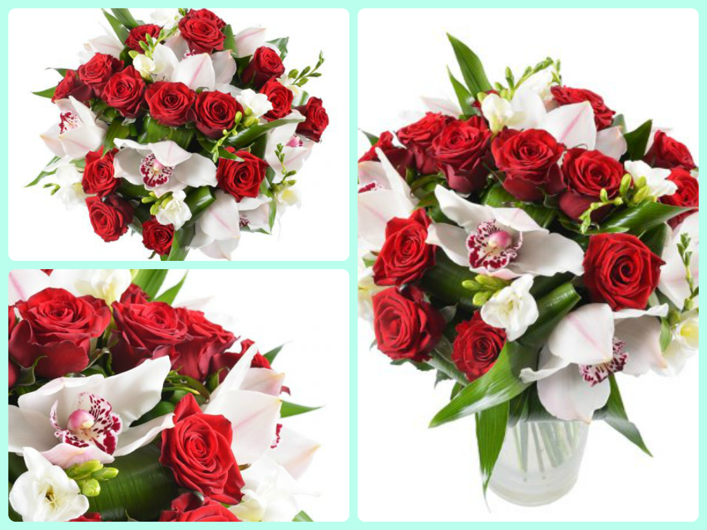 Обзор двухцветных букетов от UFL