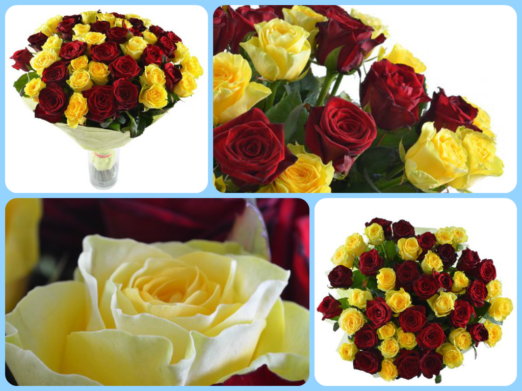 Обзор двухцветных букетов от UFL