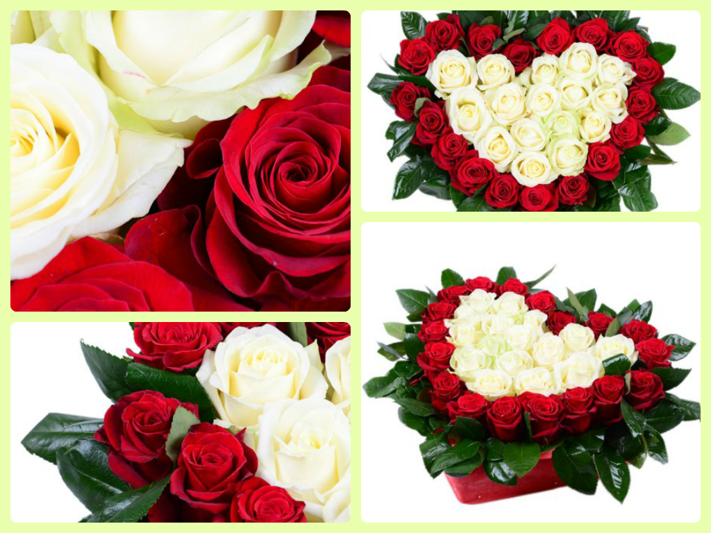 Обзор двухцветных букетов от UFL