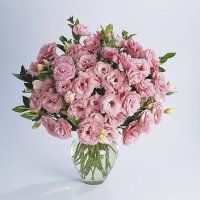 Эустома - цветок из королевского сада