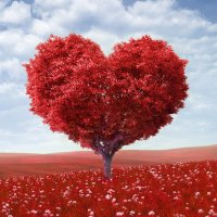 Фен-шуй на День святого Валентина: секреты привлечения любви