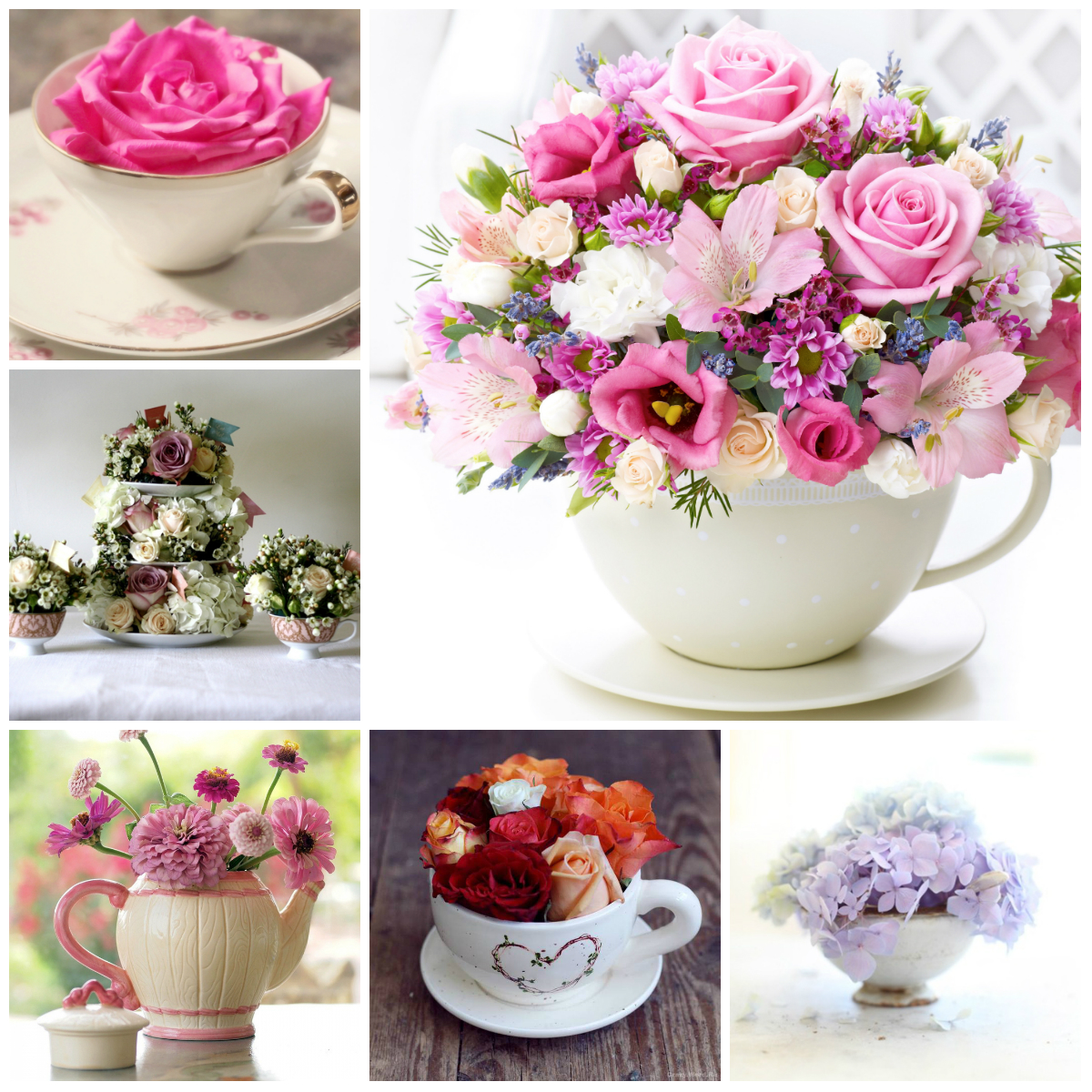 Flowers in a Cup
