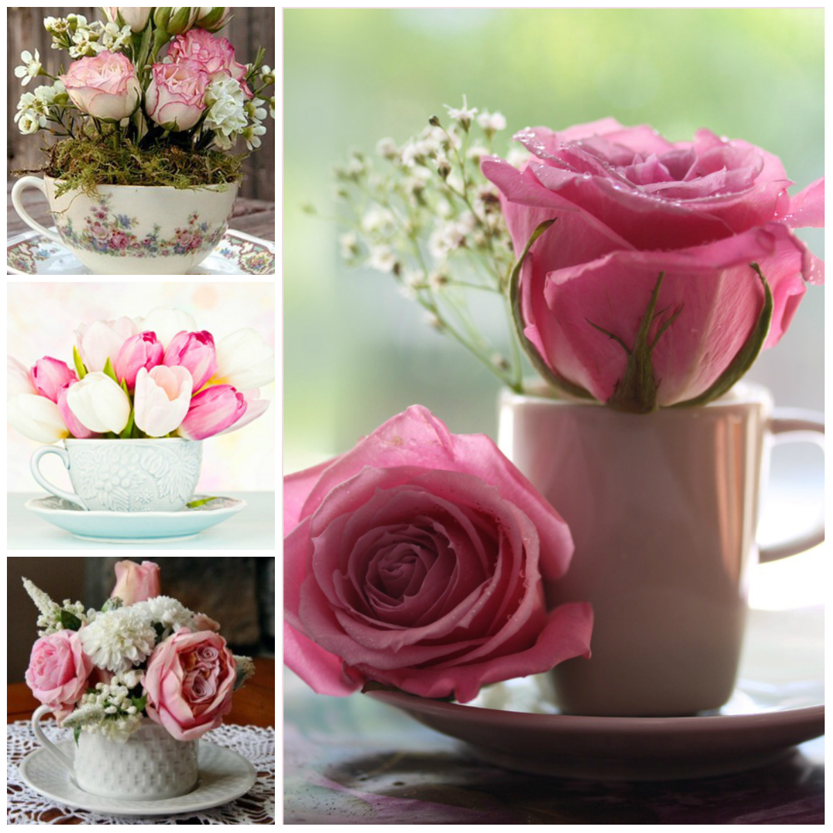Flowers in a Cup