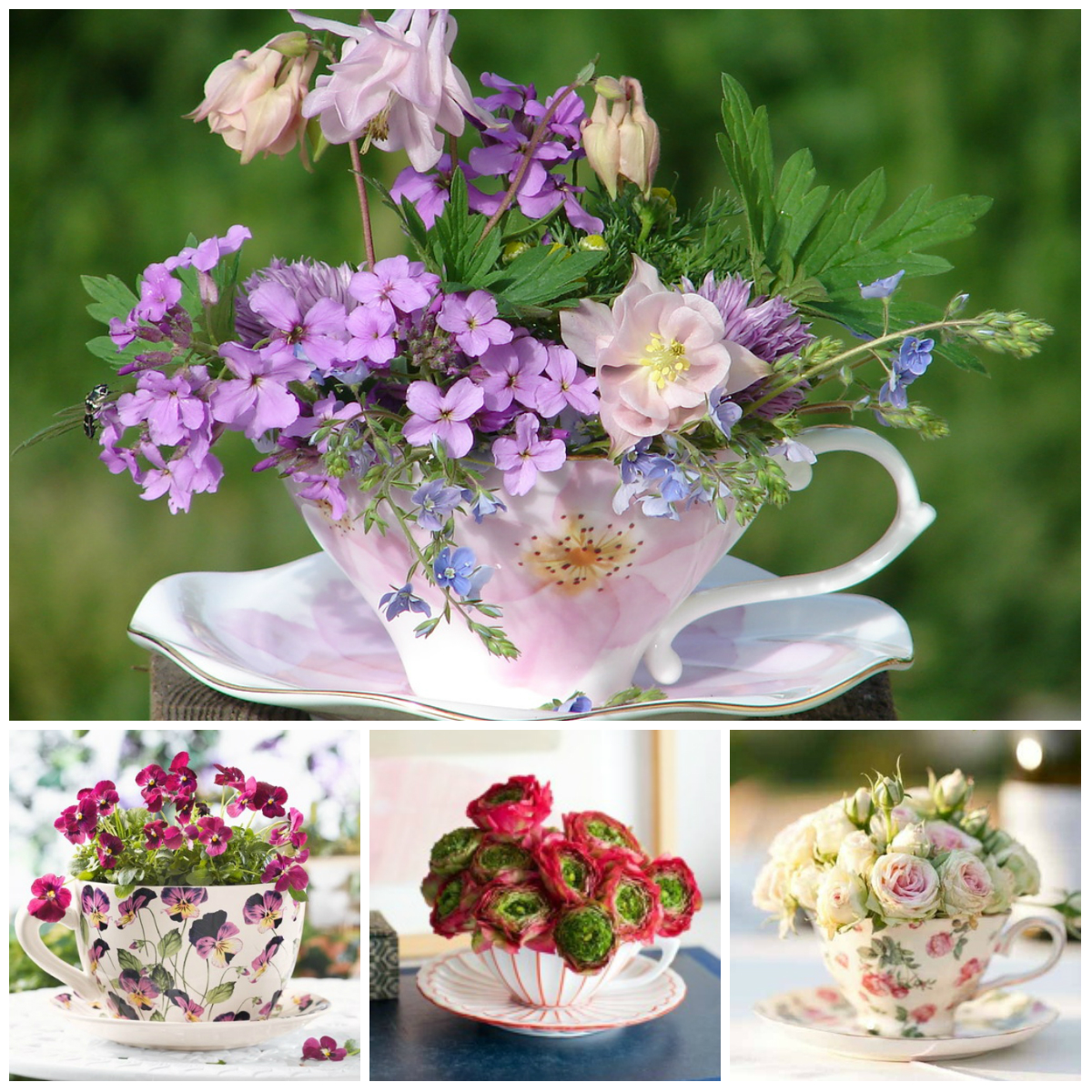 Flowers in a Cup