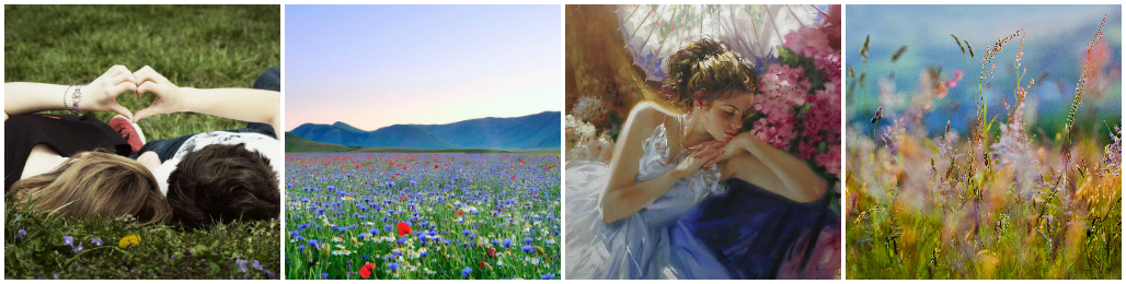 Flowers in Our Dreams