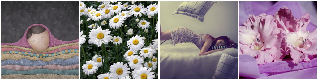 Flowers in Our Dreams