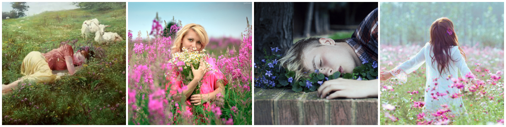 Flowers in Our Dreams