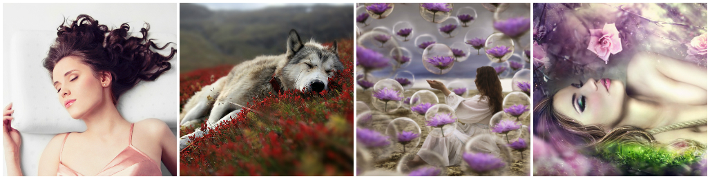 Flowers in Our Dreams