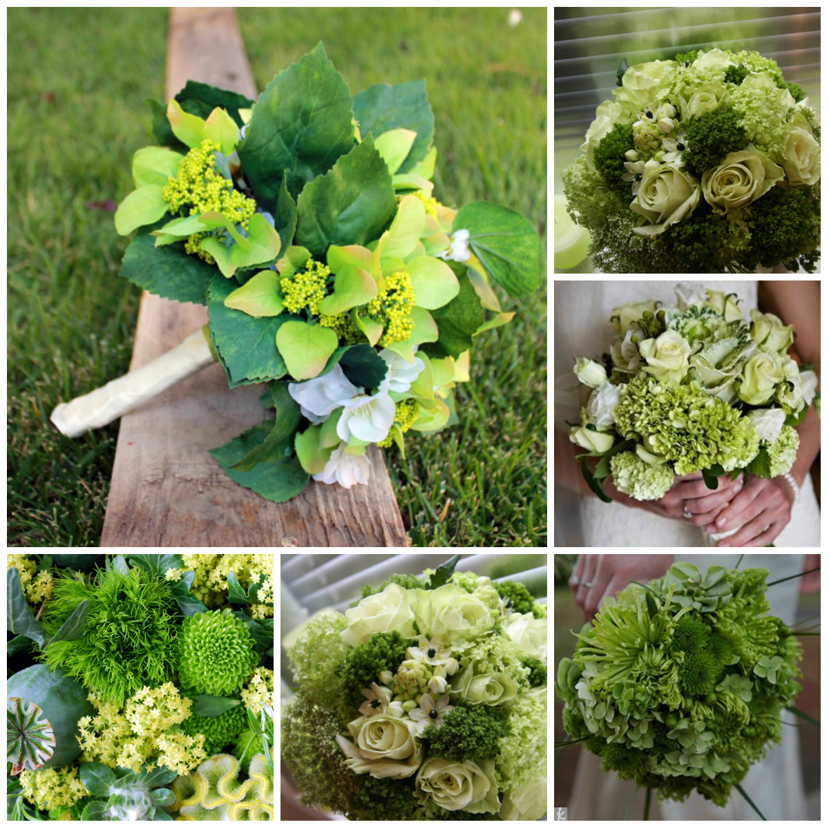 Green color: a remedy for stress