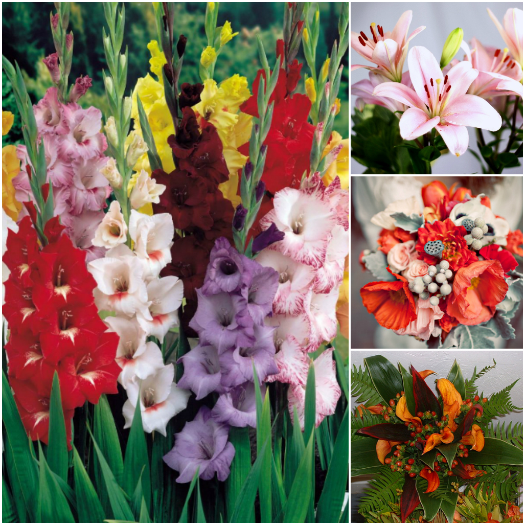 What Flowers Are Mostly Used in Bouquets