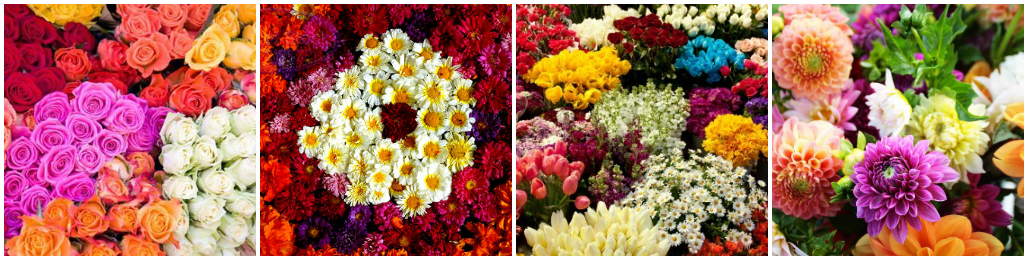 10 Simple Tricks to Preserve Freshness of Your Bouquet of Flowers