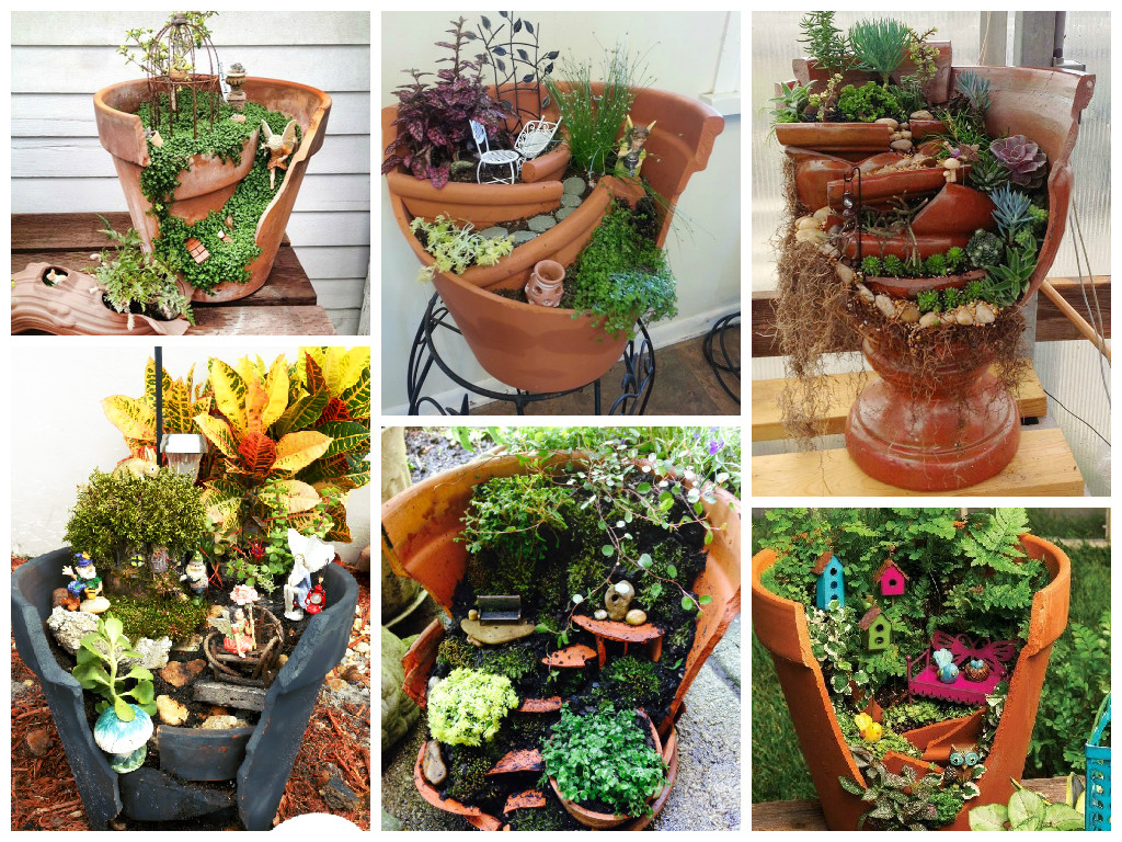 Garden in broken flower pot Garden in broken flower pot
