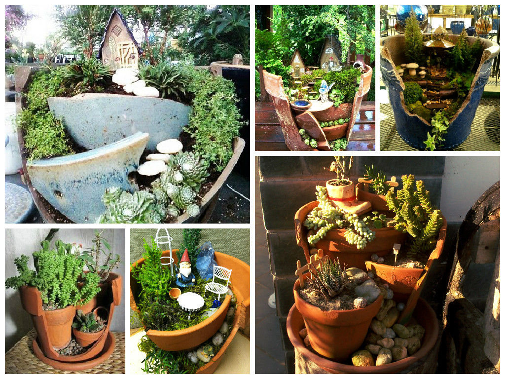 Flowers for flower pot gardens Flowers for flower pot gardens