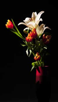 подарок девушке в день рождения что подарить девушке в день рождения