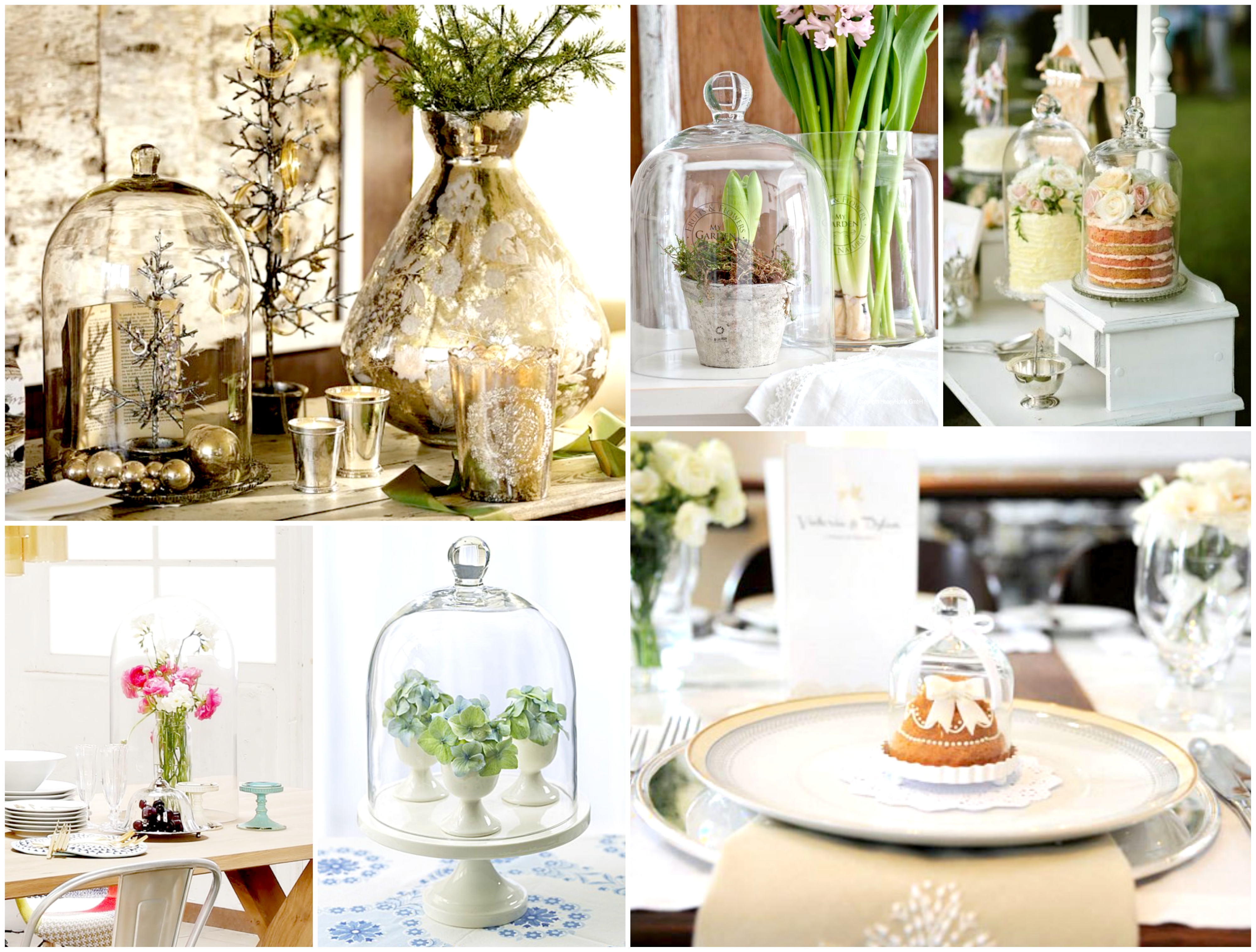 Glass bell jars Glass bell jars
