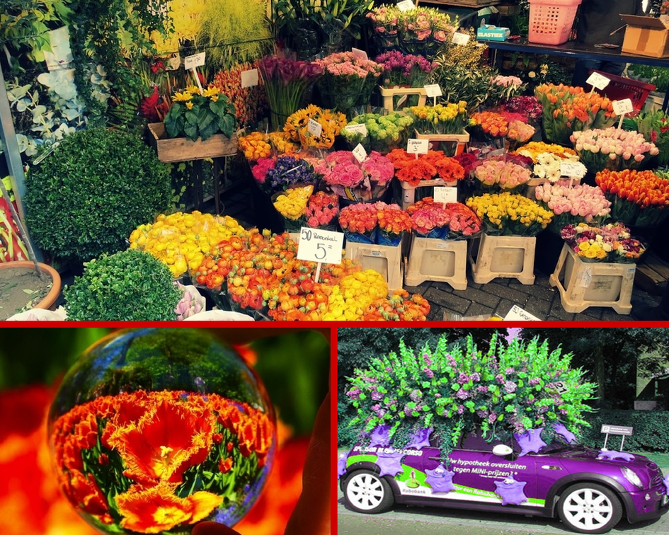 Цветочный голландский аукцион Цветочный голландский аукцион