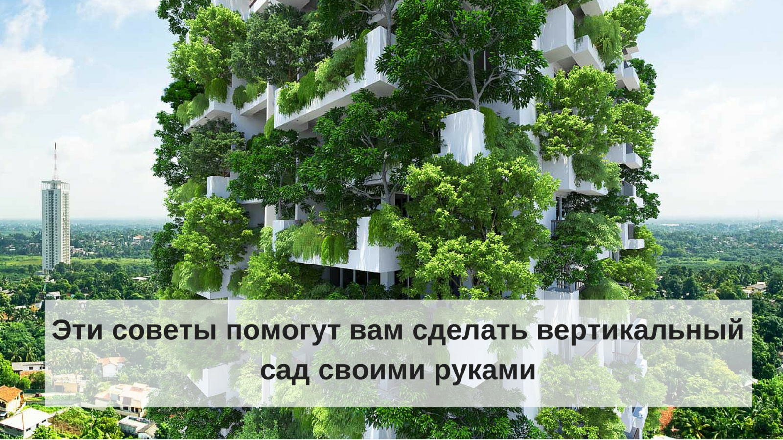 Вертикальный сад фото