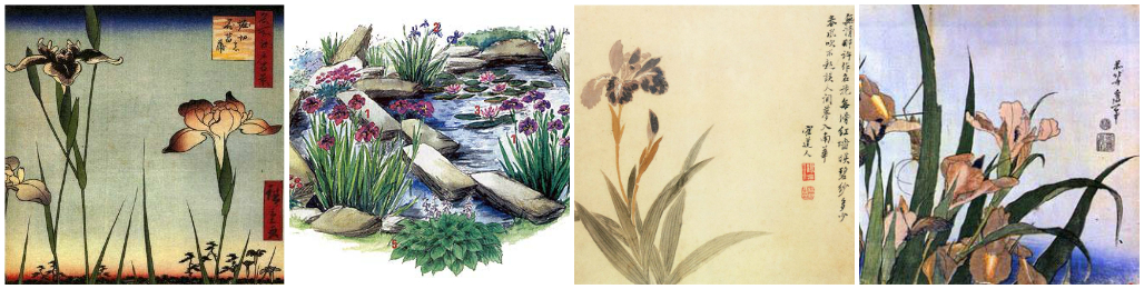 Ирисы: легенды, традиции, значение