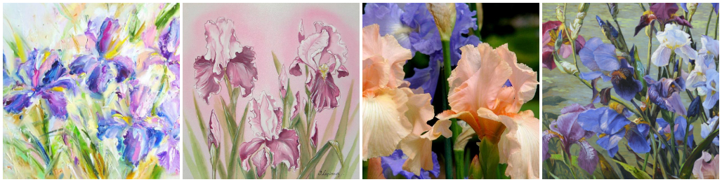 Ирисы: легенды, традиции, значение