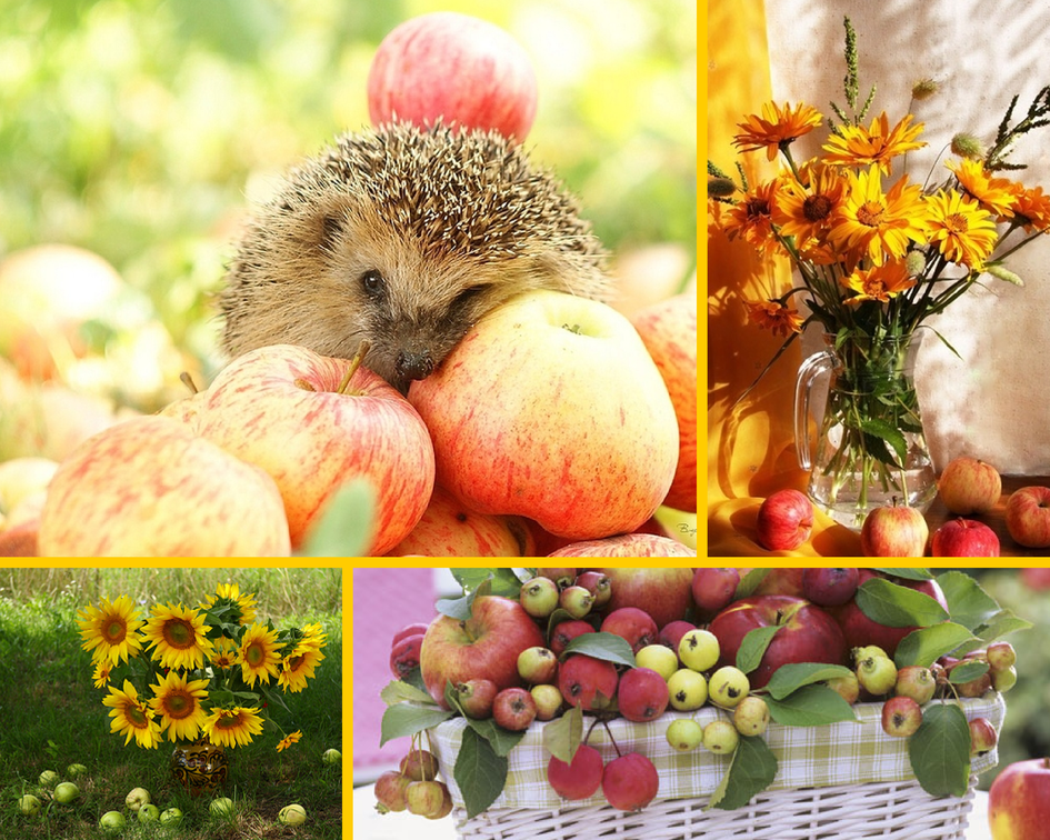 Яблочный спас