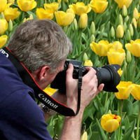 Как фотографировать цветы: часть 1