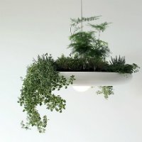 Как сделать кашпо для цветов своими руками