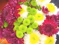 Какие цветы сохраняют свежесть дольше всего