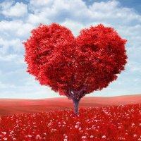 Красивые открытки ко Дню Святого Валентина