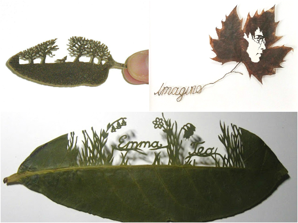 Leaf cutting art Leaf cutting art
