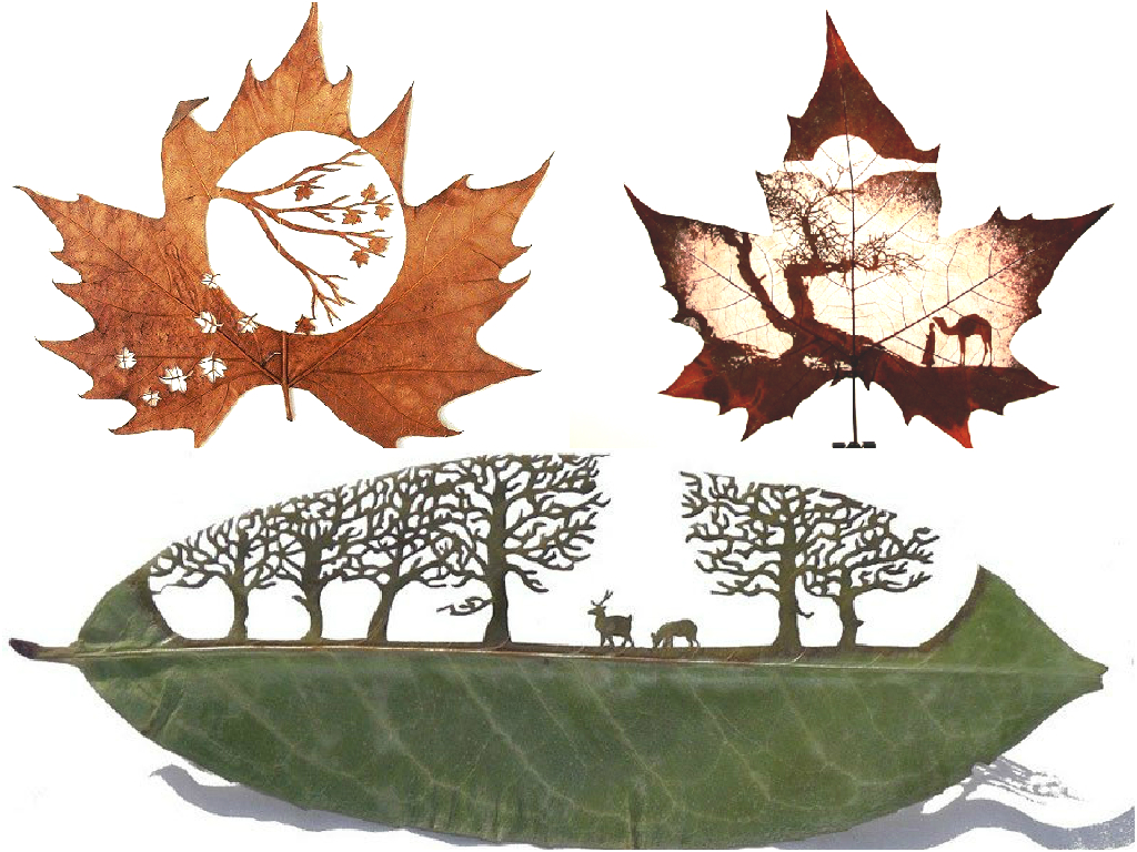 Leaf cutting art Leaf cutting art