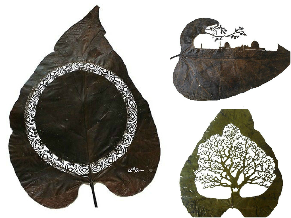 Leaf cutting art Leaf cutting art