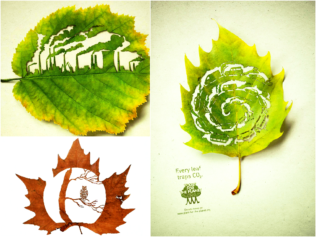Leaf cutting art Leaf cutting art