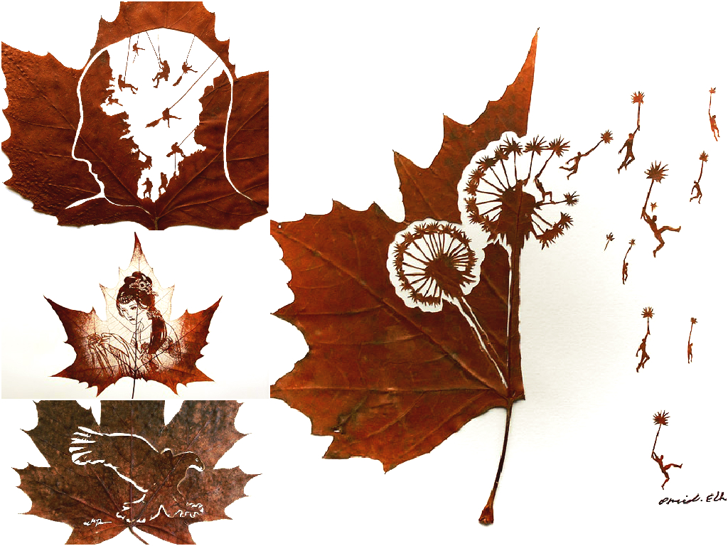 Leaf cutting art Leaf cutting art