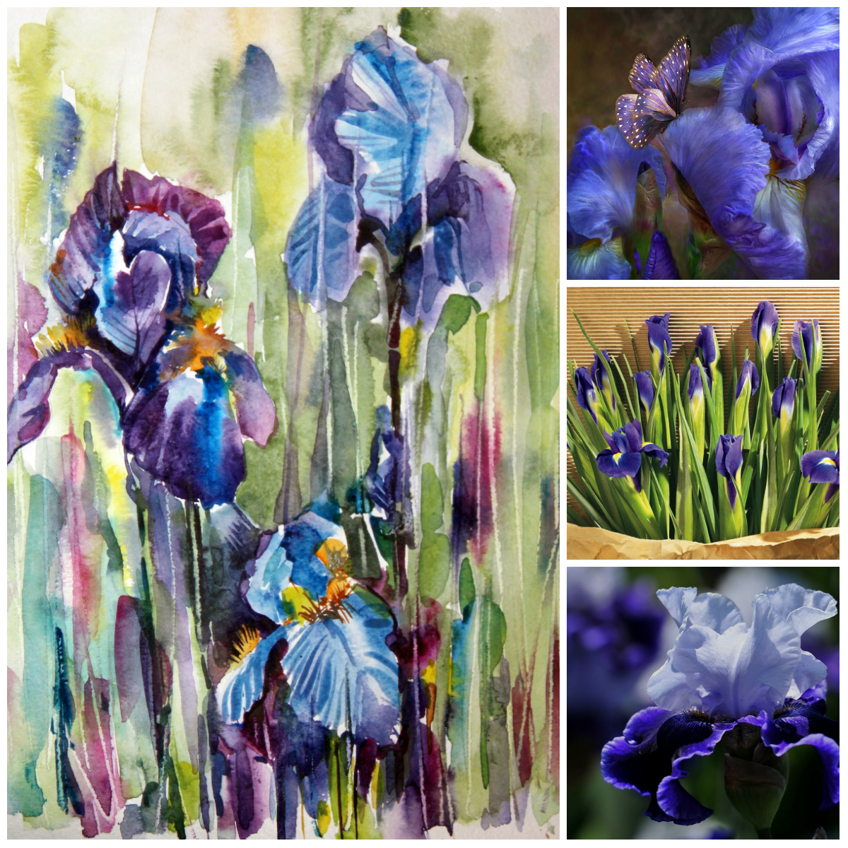 Легенды о происхождении цветов (2 часть)