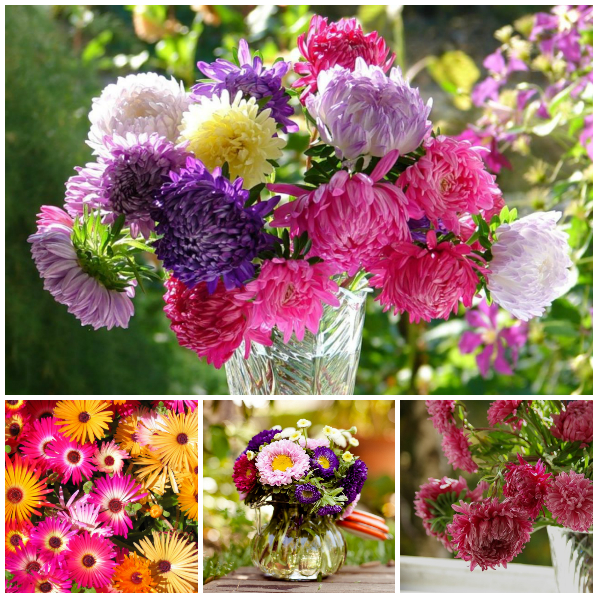 Легенды о происхождении цветов (2 часть)