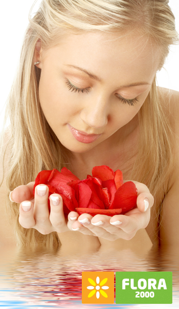 Лепестки роз для девушки. Лепестки роз для девушки.