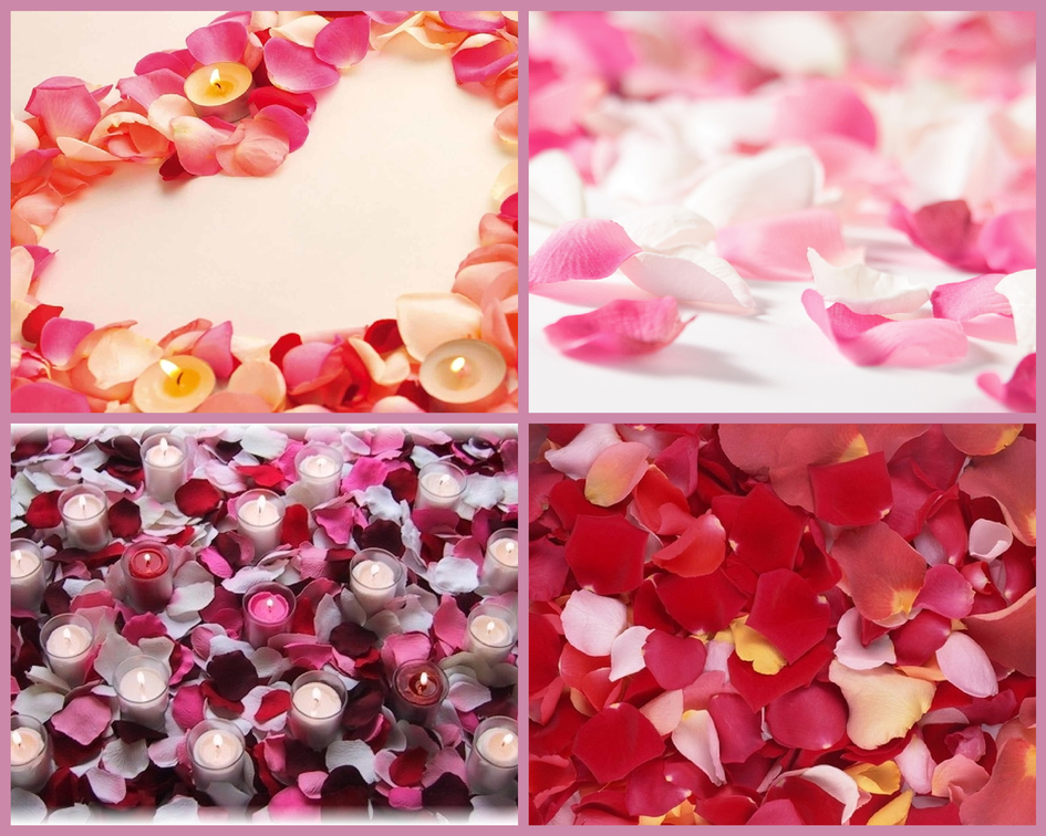 Лепестки роз