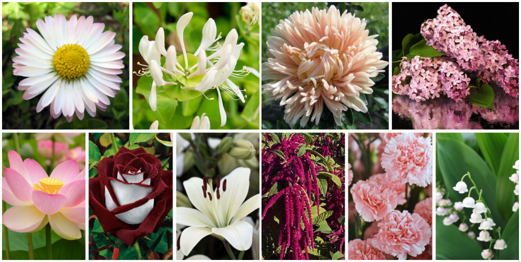 Признание в любви на расстоянии