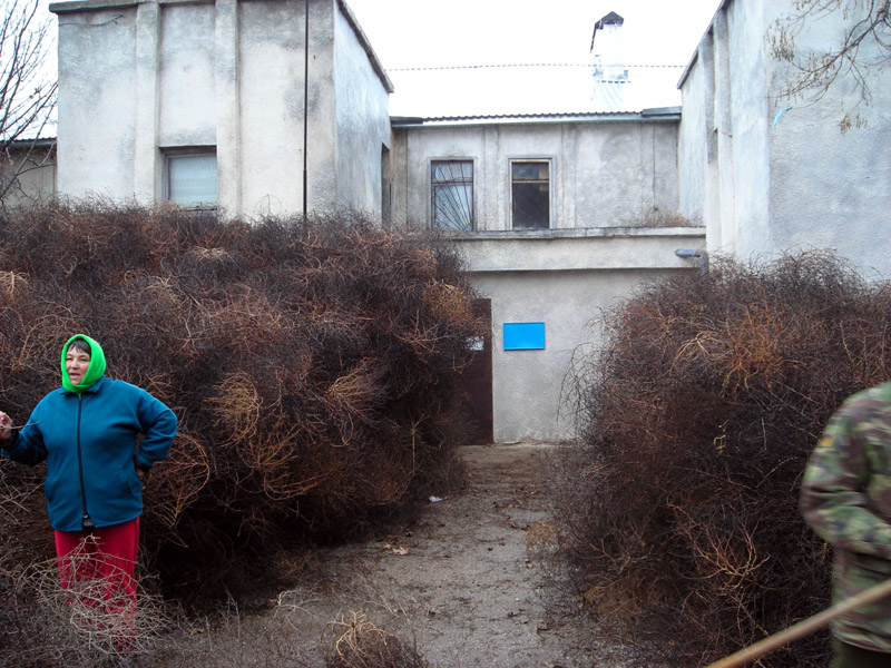 Новости Мирный Симферополь