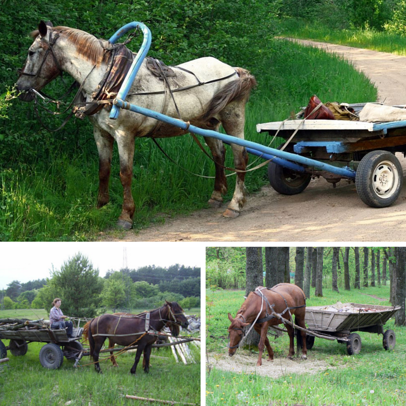 Молдова. Заметки искушенного странника